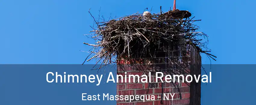  Chimney Animal Removal East Massapequa - NY