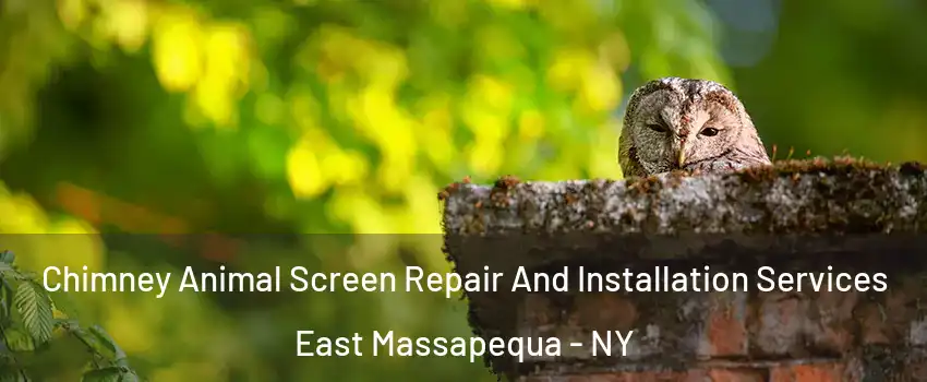  Chimney Animal Screen Repair And Installation Services East Massapequa - NY