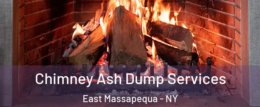 Chimney Ash Dump Services East Massapequa - NY