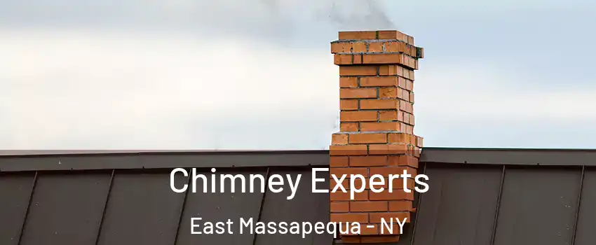  Chimney Experts East Massapequa - NY