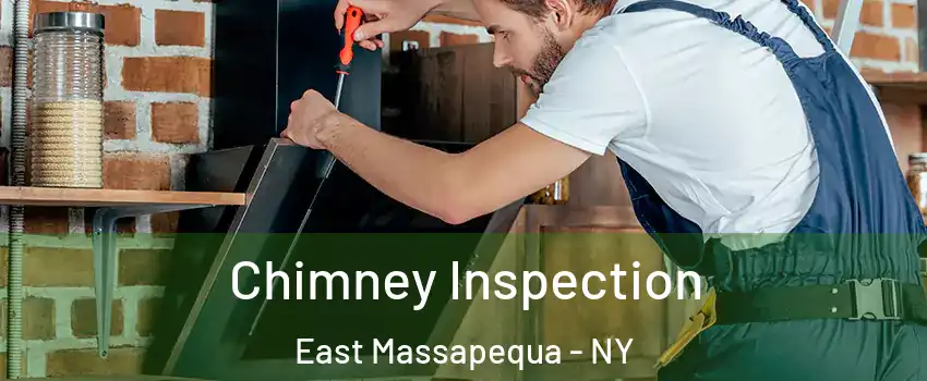  Chimney Inspection East Massapequa - NY