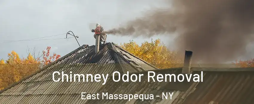  Chimney Odor Removal East Massapequa - NY