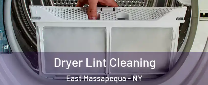  Dryer Lint Cleaning East Massapequa - NY