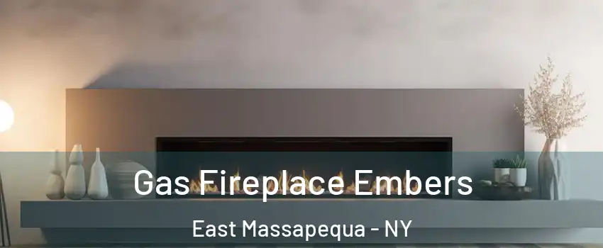  Gas Fireplace Embers East Massapequa - NY