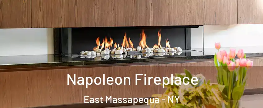  Napoleon Fireplace East Massapequa - NY